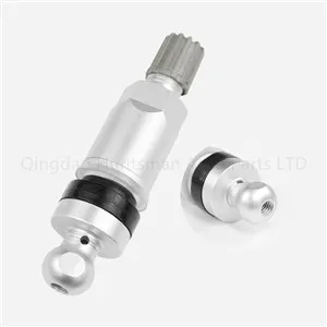 שסתום צמיג BMW