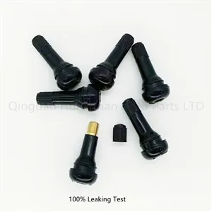 Car Valve Stem